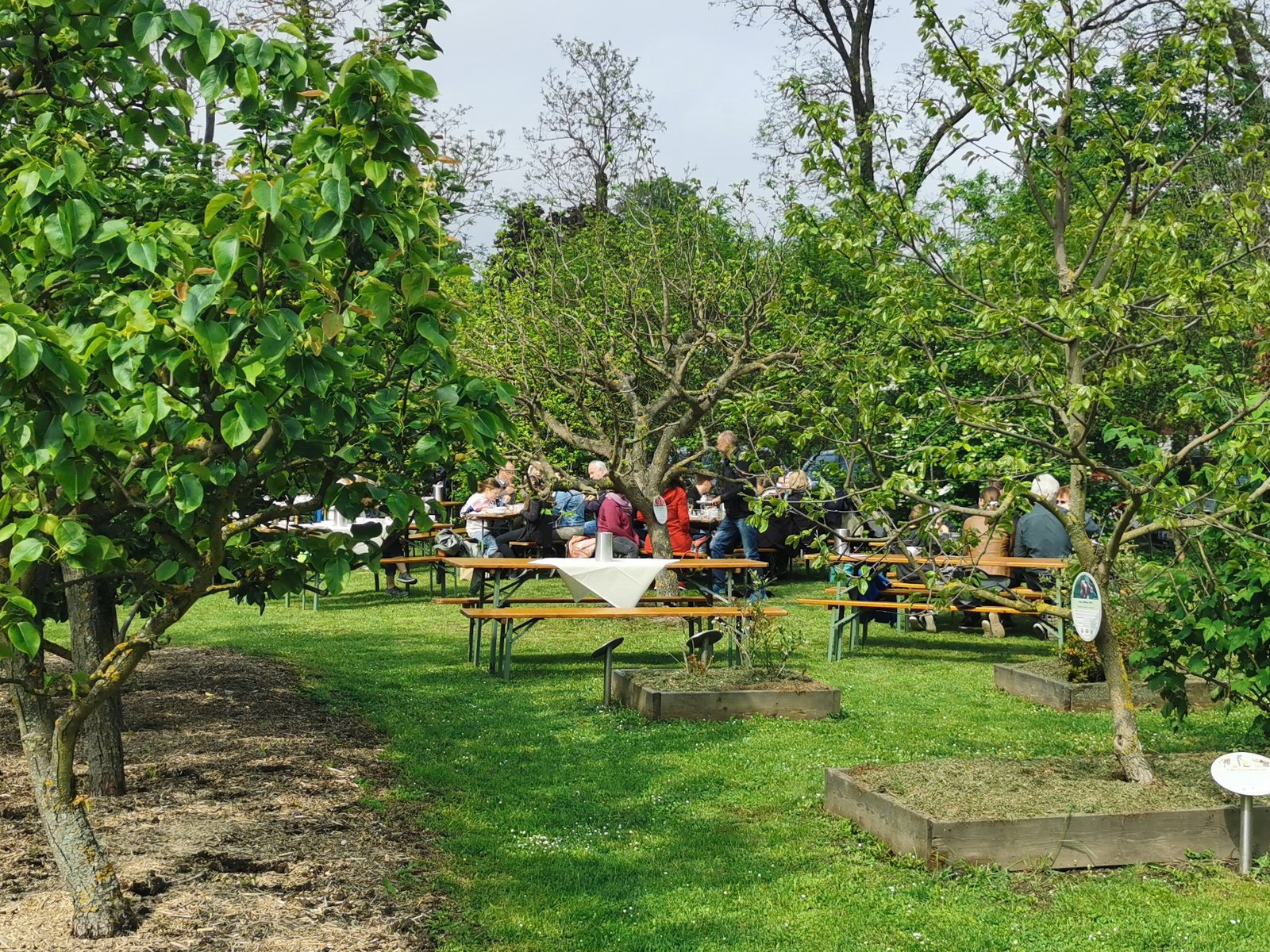 Gartenfrühstück